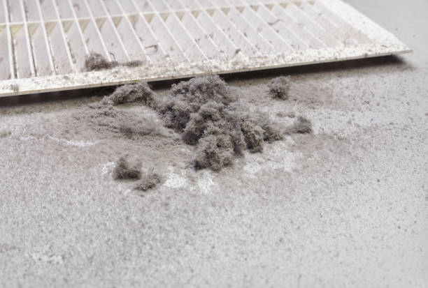 Best Emergency Air Duct Cleaning  in Lake Of The Woods, AZ
