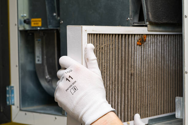 Best Local Air Duct Cleaning Services  in Lake Of The Woods, AZ