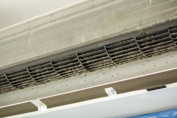 Best Ductwork Cleaning Services  in Lake Of The Woods, AZ